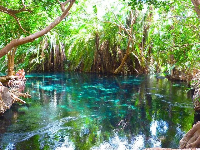 Clear blue water surrounded by lush trees at Chemka Hot Springs.