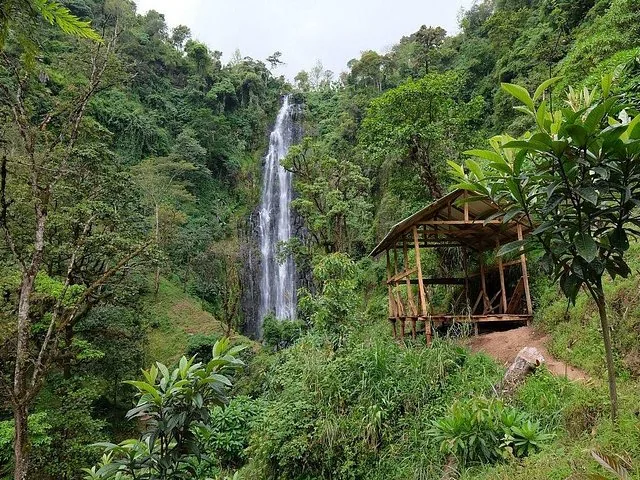 Ein hoher Wasserfall, der über eine üppige, grüne Berglandschaft herabstürzt.