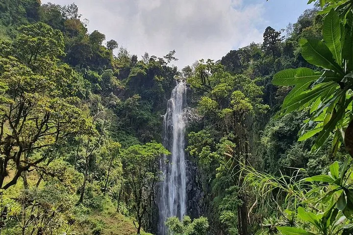 A tall waterfall cascades down a rocky cliff surrounded by lush vegetation.